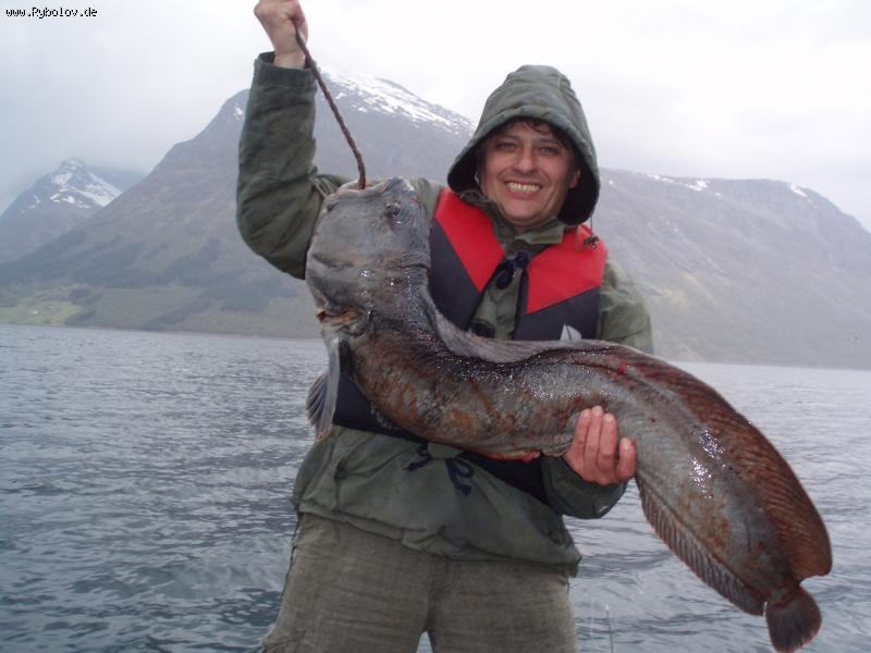 -- ,     ..... -  ()