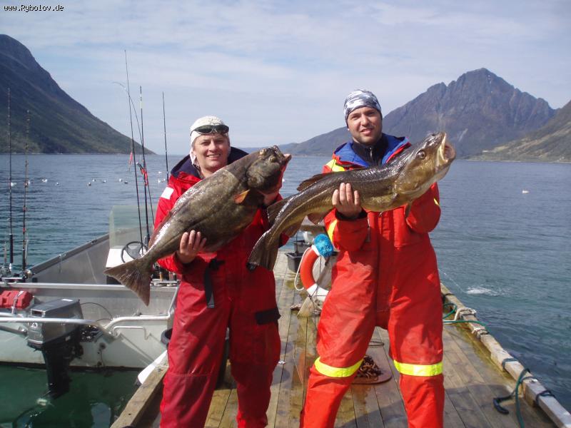 --Erste Heilbutt -  ()