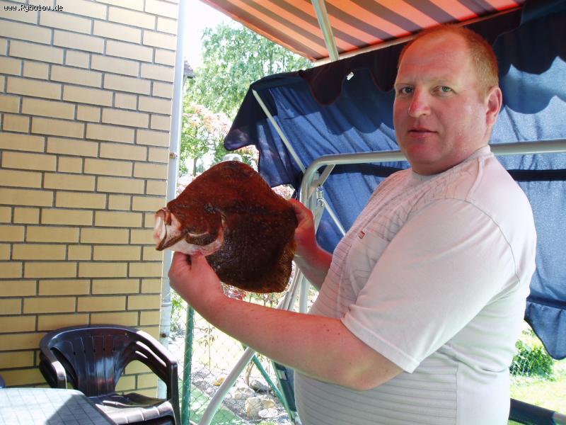 --steinbutt - ������� (����������)