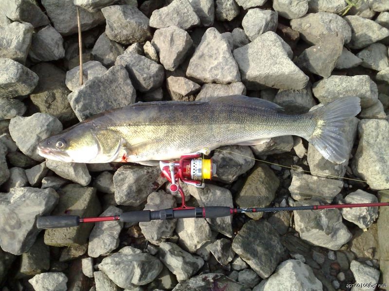 --��� ������ �������� �����. �����. �������. - ������� (����������)