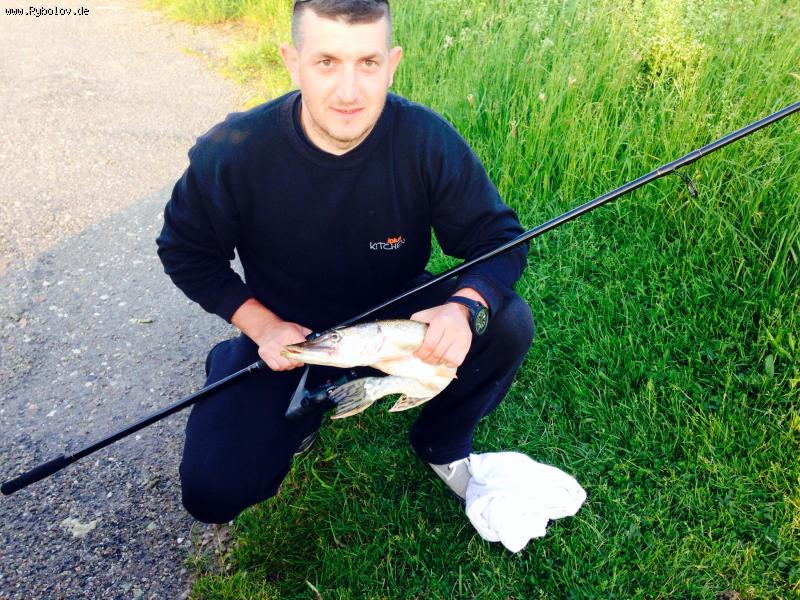 --���� 1,200 �� - ������� (����������)