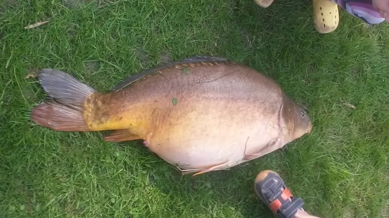 --���� ���� ��������� ����- 12�� - ������� (����������)