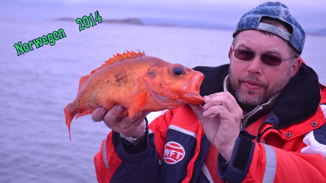 --�������� - ������� (����������)