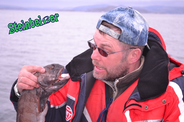 --�������� - ������� (����������)