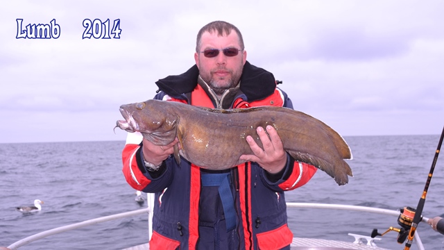 --�������� 2014. - ������� (����������)