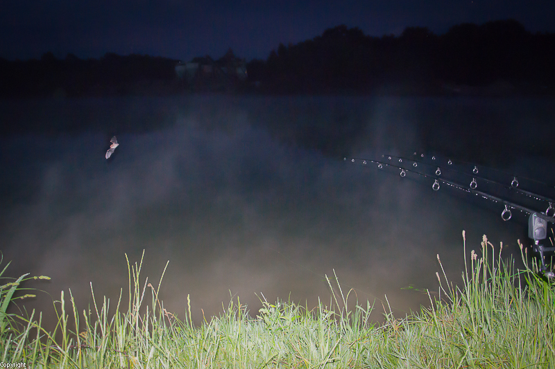 --� �� ���� ������, ��� ����� �� ������ :) - ������� (����������)