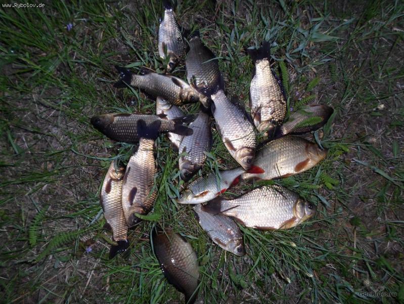 --������� - ������� (����������)