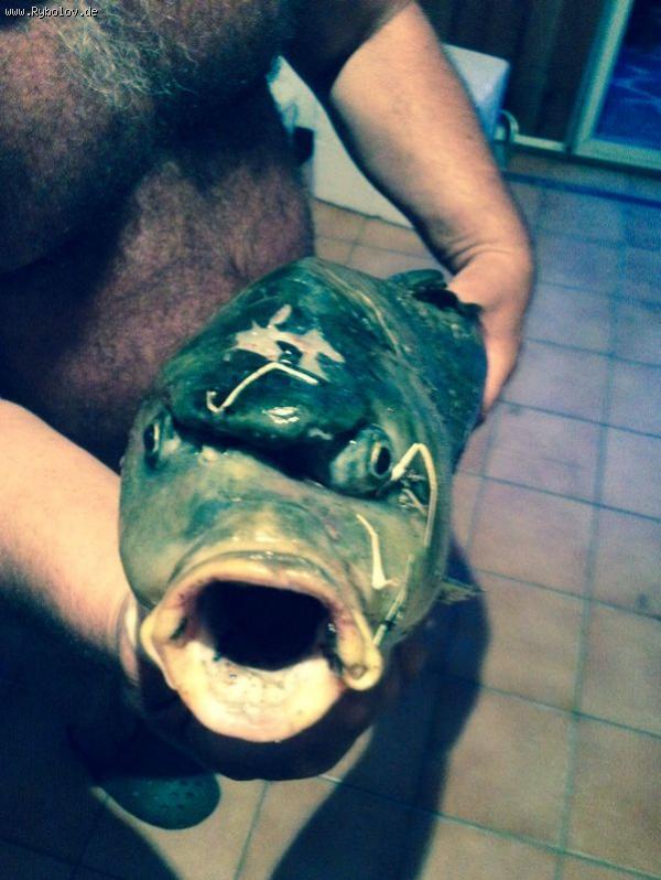 --karp - рыбалка (фотоальбом)