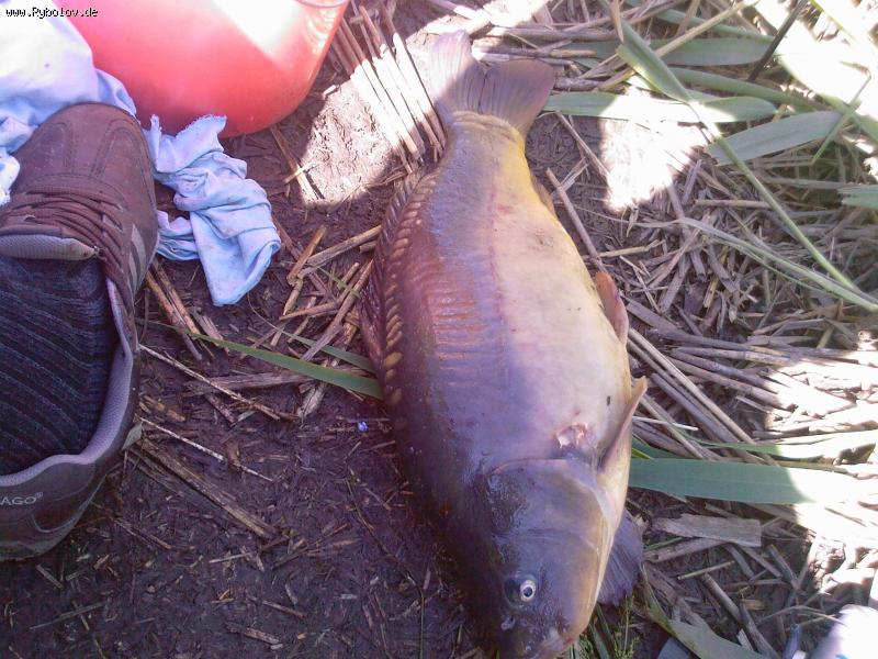 --������� - ������� (����������)