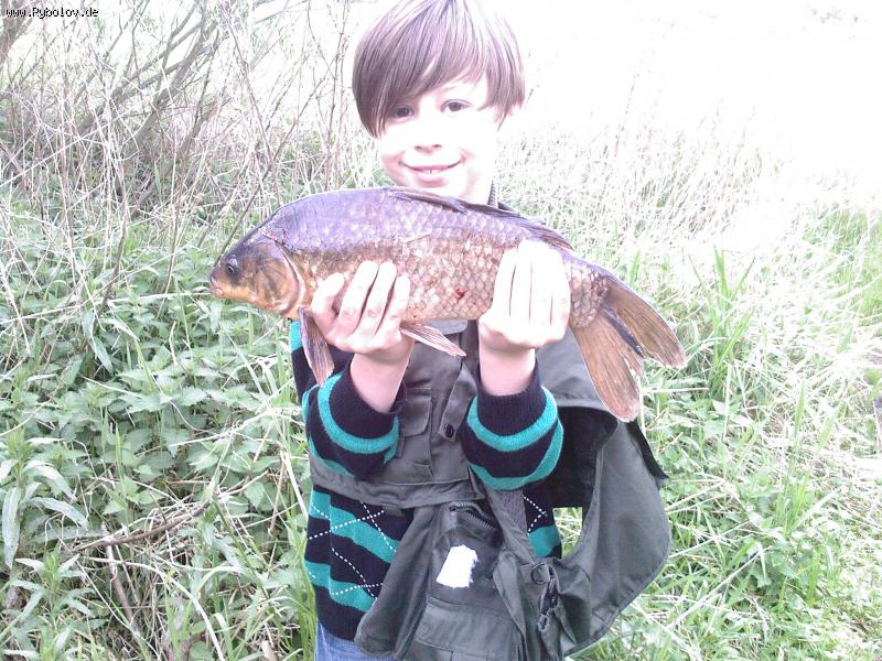 --������� - ������� (����������)