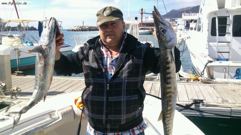 --������ �� ������������� - ������� (����������)