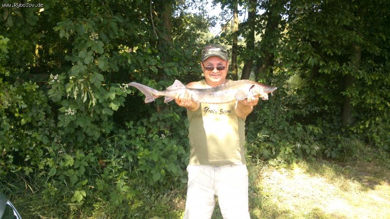 --������� � Heisede - ������� (����������)