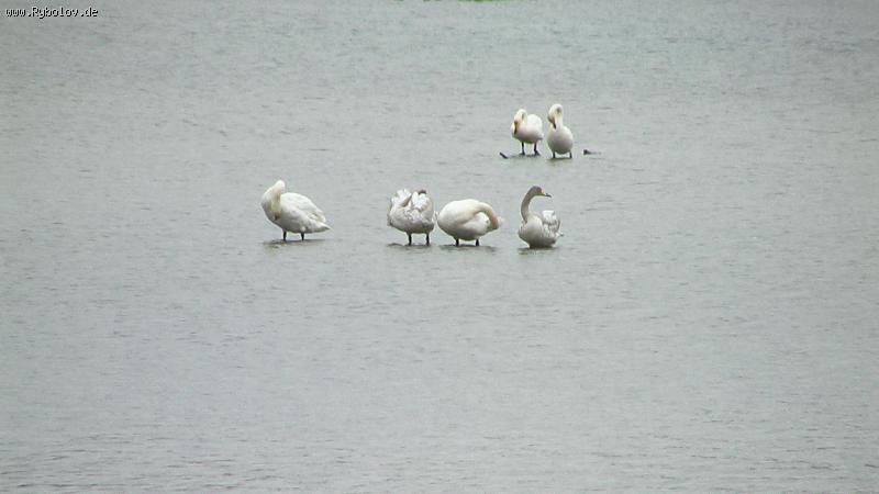 --������ - ������� (����������)