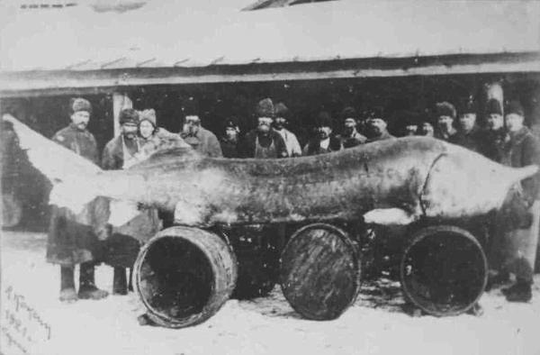 --Наши деды на Каме - рыбалка (фотоальбом)