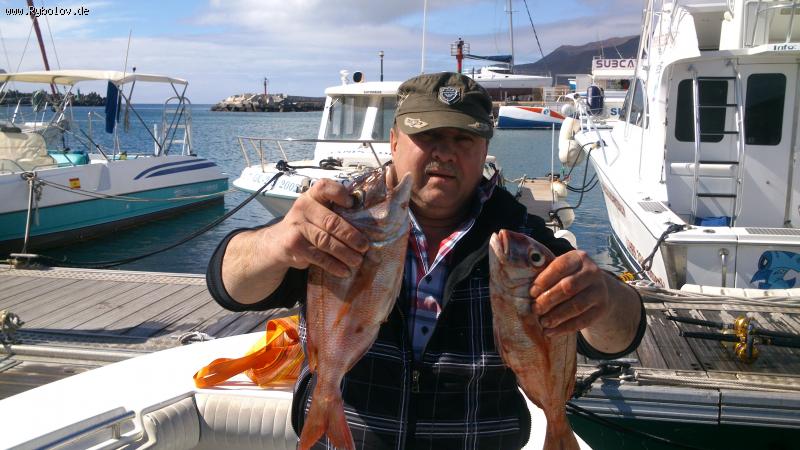 --Январь на Фоертевентура - рыбалка (фотоальбом)