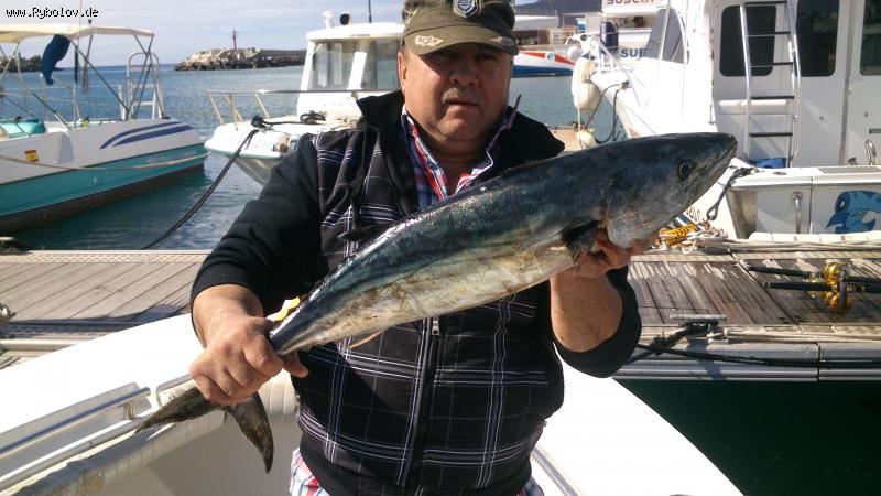 --������ �� ������������� - ������� (����������)