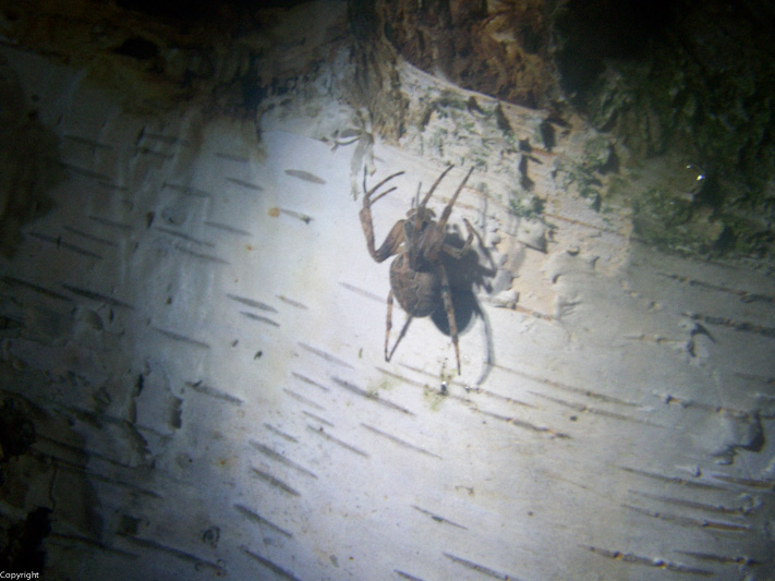 --�������� ���� 2014 - ������� (����������)