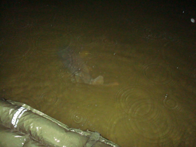 --�������� - ���� - ������� (����������)