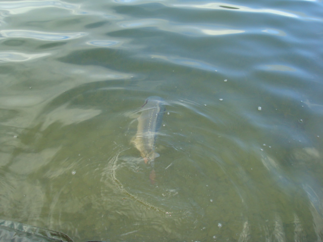 --�� ���������� ���� - ������� (����������)