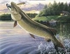 Esox