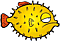 morjak