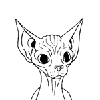 sphynx